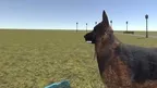 the anatomy of a dog screenshot 3
