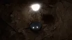 Primate Ruins screenshot 0