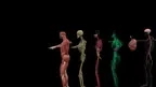 Human Anatomy VR Learning screenshot 4