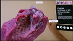 XR Heart Anatomy screenshot 3