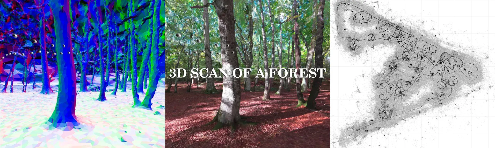 3D scan of a forest