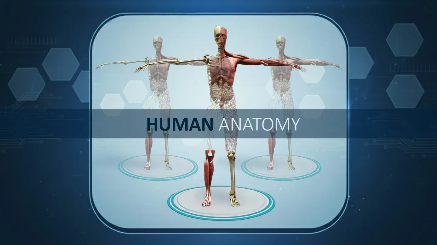 Human Anatomy trailer 0