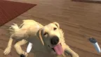 My puppy: Golden Retriever screenshot 4