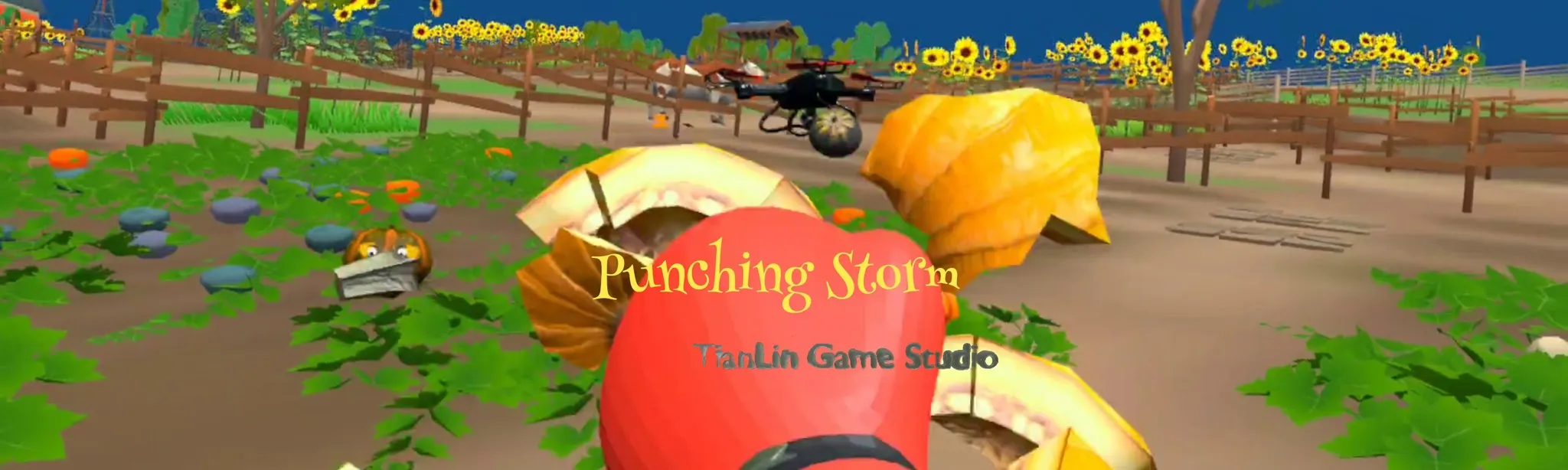 Punching Storm