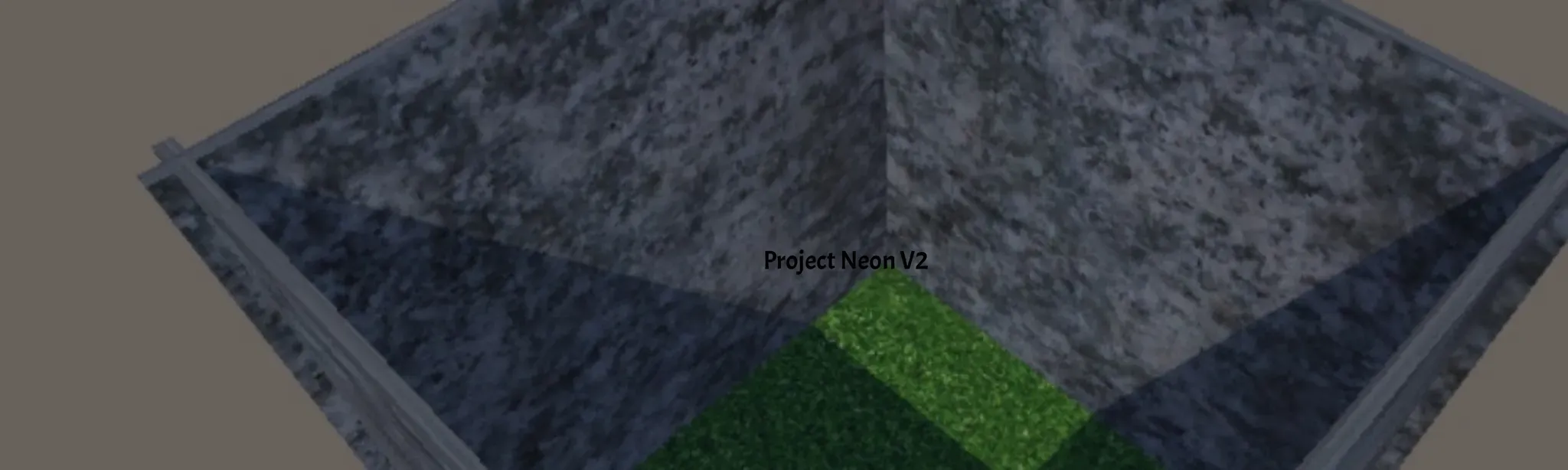 Project Neon V2