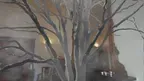 Dreaming: Amy Beach MR screenshot 1