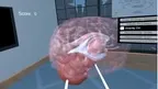 Human Brain Time screenshot 2