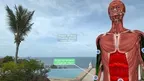 Holo-Body : Yoga + Anatomy (Beta) screenshot 4