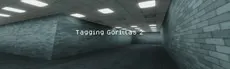 Tagging Gorillas 2 hero image
