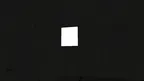 Monke Tag Fright screenshot 2