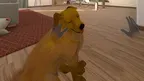 My puppy: Brown Labrador screenshot 0