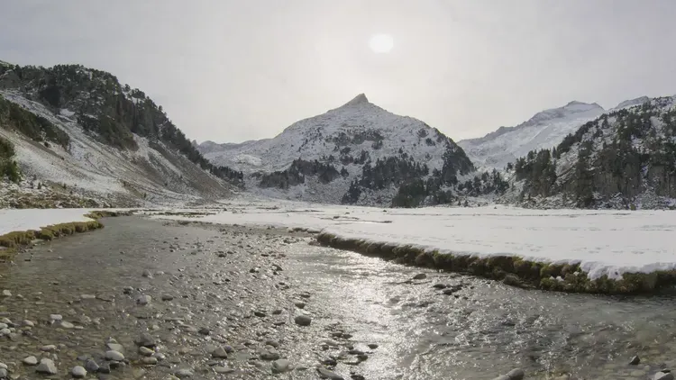 Developer update image for Free Weekly Bonus Environment: Aneto and v0.2.29 Update 