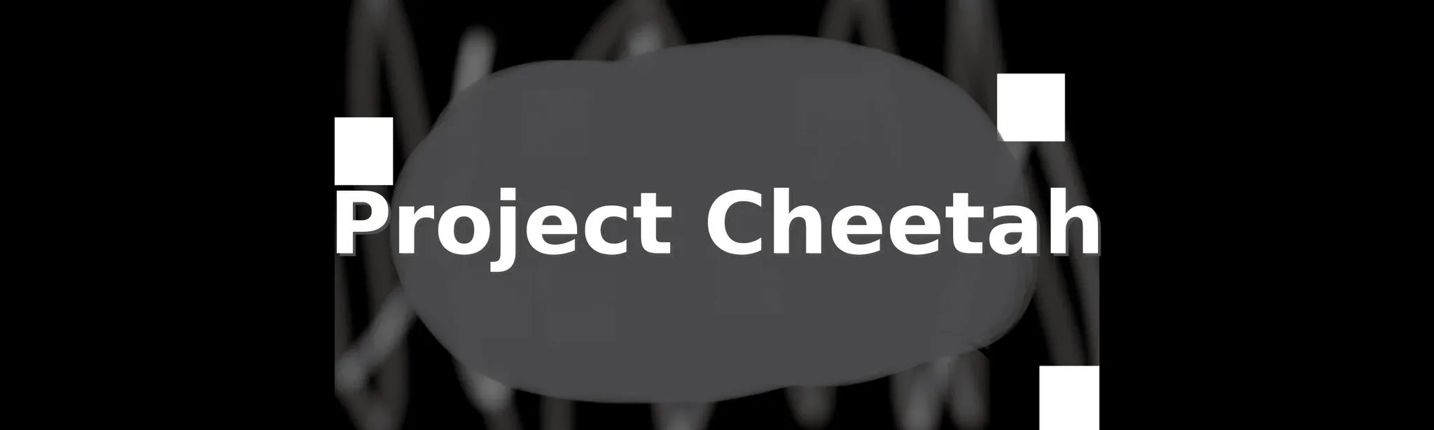 Project Cheetah