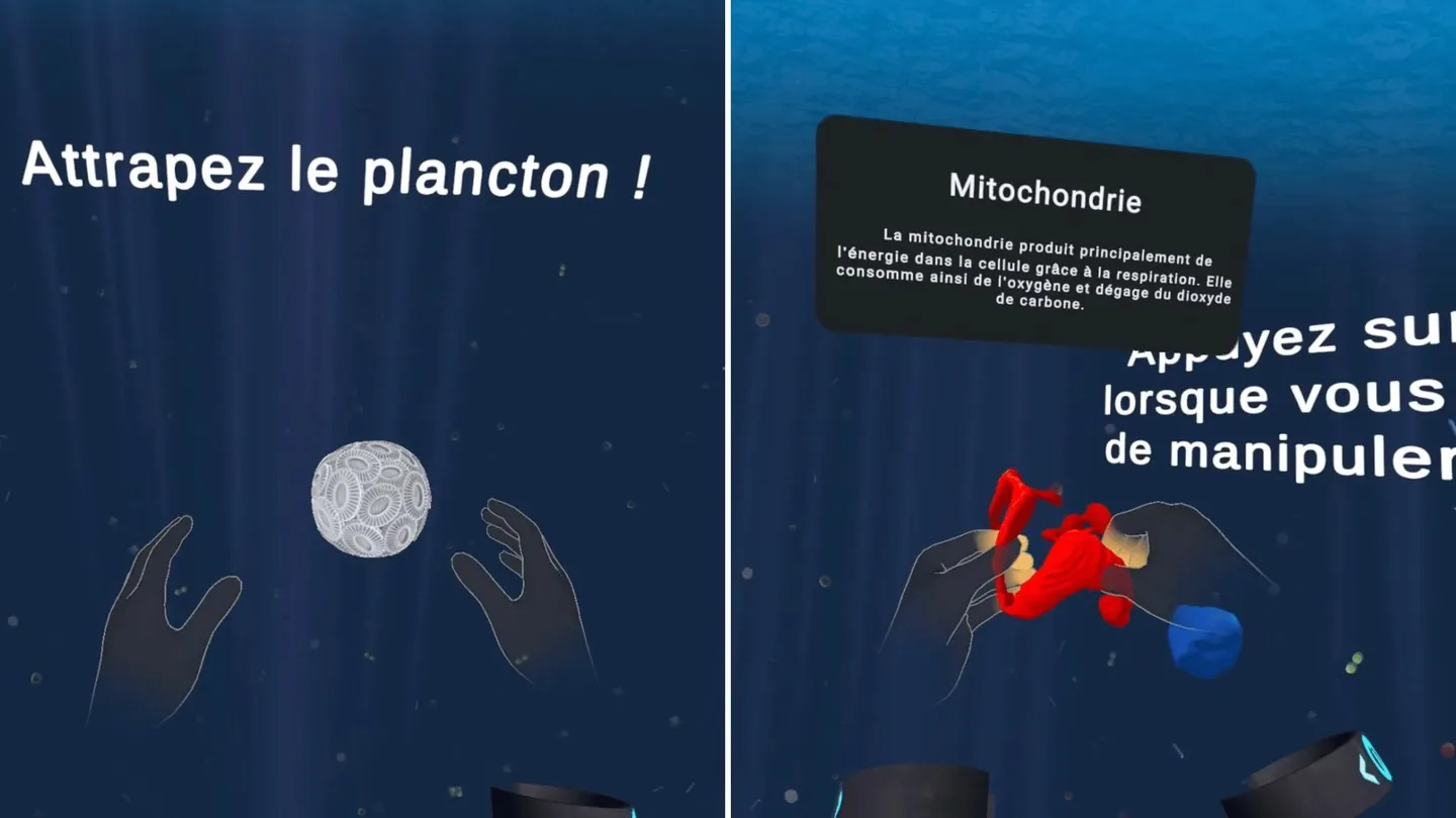PlanktoQuest cover image