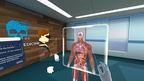 Human Anatomy VR for Institutions screenshot 2