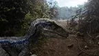 Jurassic World screenshot 3