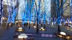 PasteToPlay: 180/360 VR Video Player screenshot 2