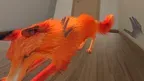My puppy:  Fox screenshot 4