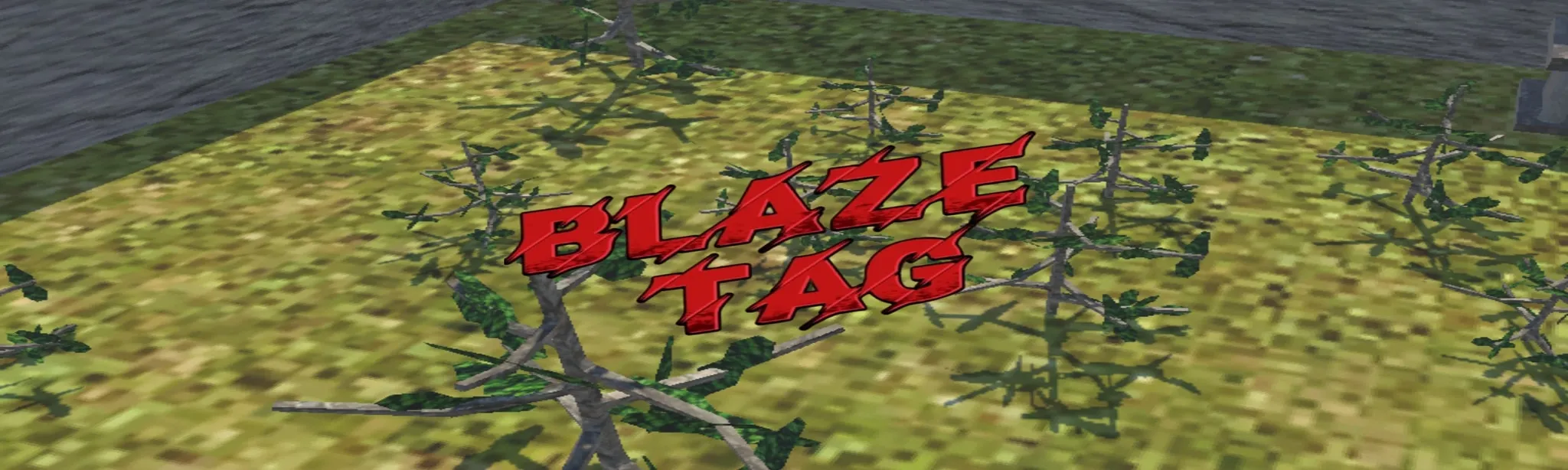 Blaze Tag