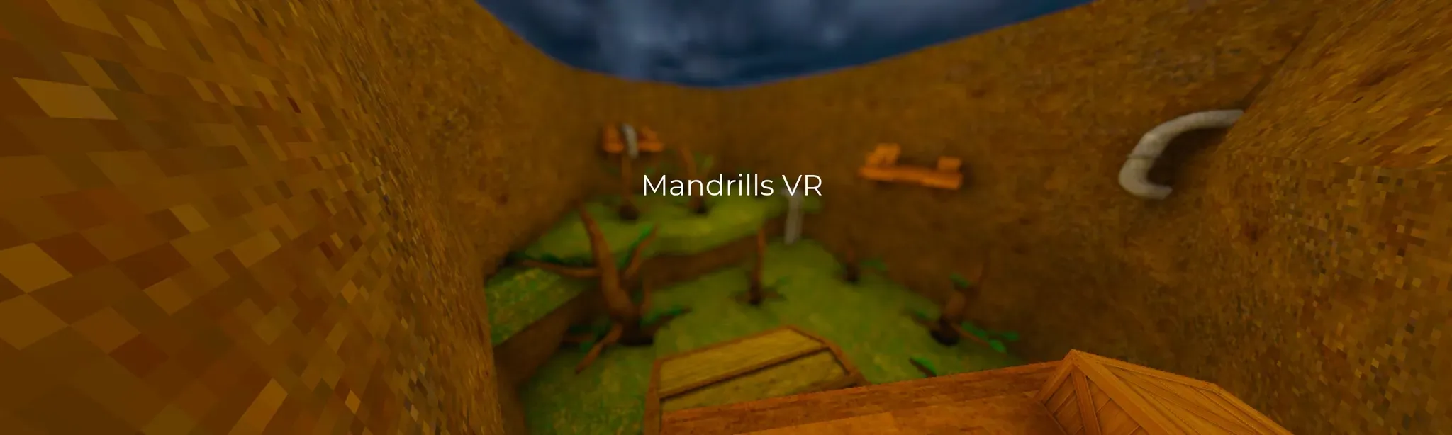 Mandrills VR