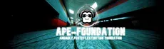 Ape Foundation VR hero image