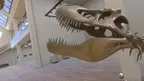 Vintage Dinosaur Museum screenshot 5