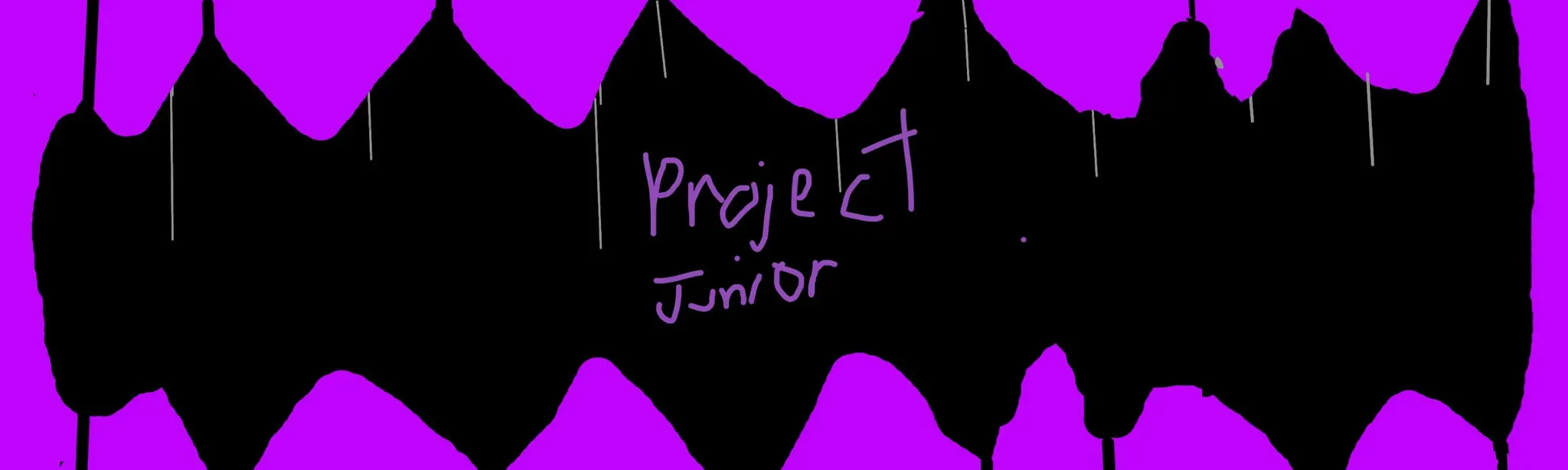 Project Junior