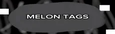 Melon Tags hero image