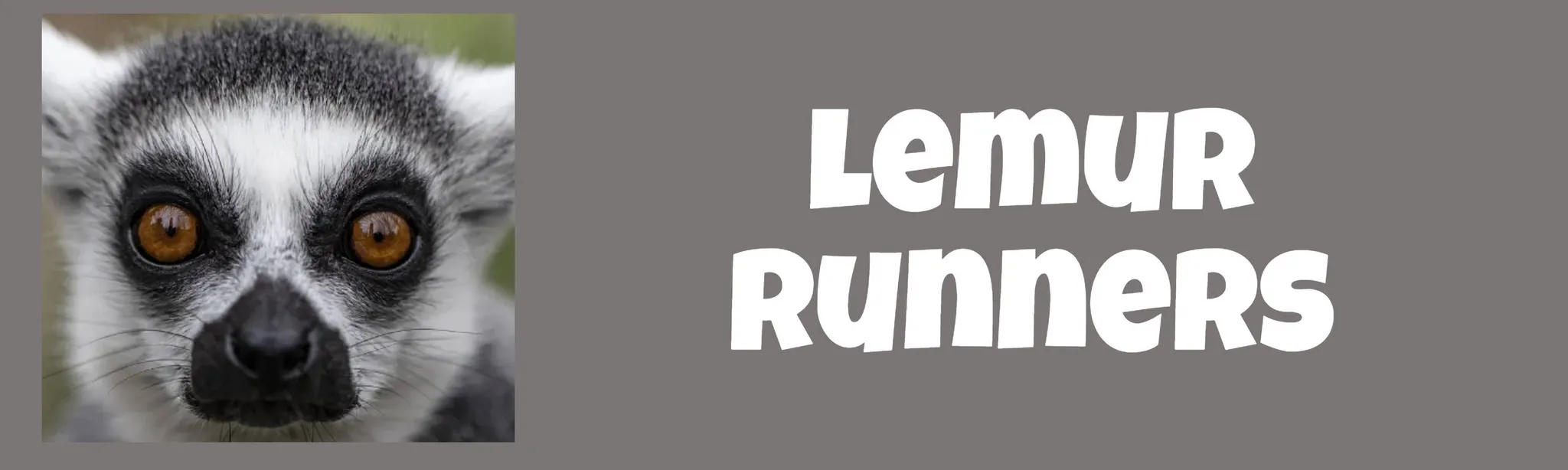 Lemur Runners hero image