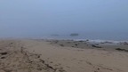 Foggy California Beach - VR Backgrounds screenshot 3