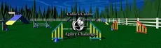 Callie's Canine Agility Challenges hero image