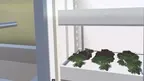 Smart Farm - Growing vegetables screenshot 5
