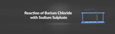 Reaction of Barium Chloride with Sodium Sulphate hero image