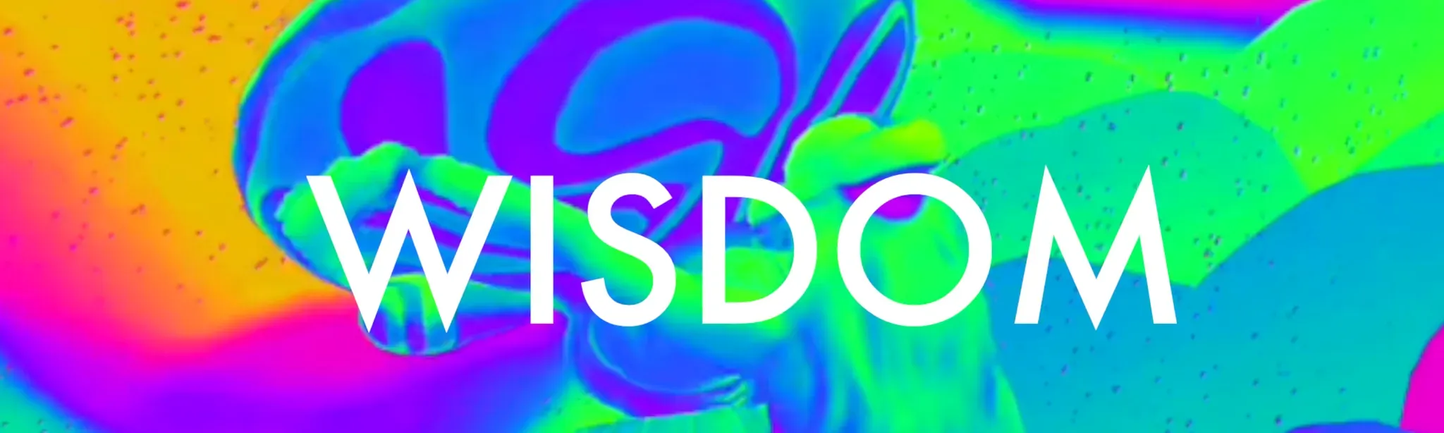 Wisdom