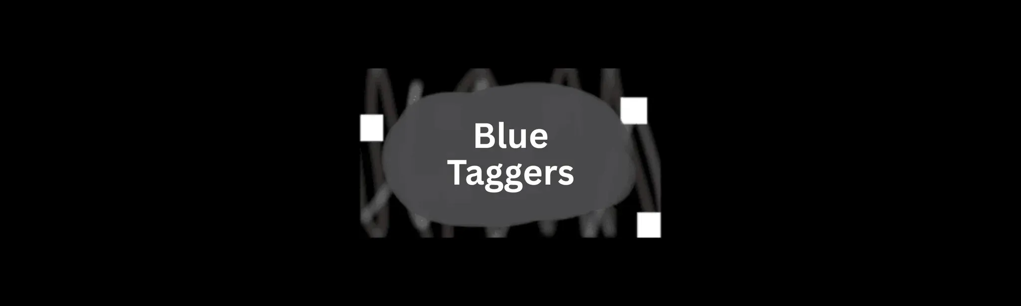 Blue Taggersㅤ