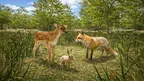 Hunting Simulator Game: Sniper Hunter VR screenshot 5