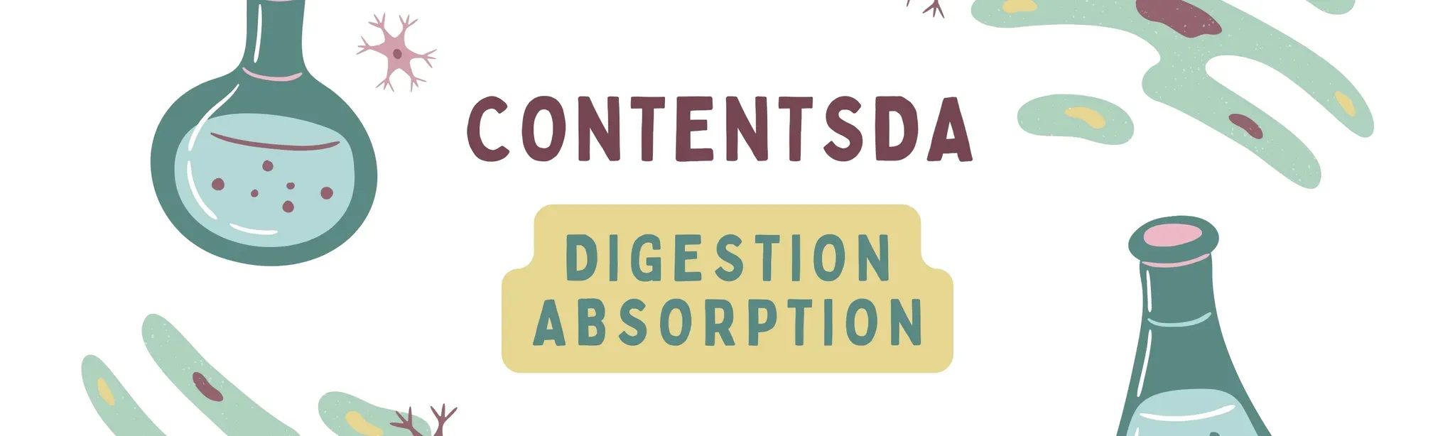 Digestion Absorption Experiment - ContentsDa Science Experiment