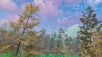 Forest Chill screenshot 1