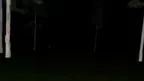 Fun‎ Monke Hor‎ror‎ screenshot 1
