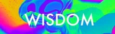 Wisdom hero image