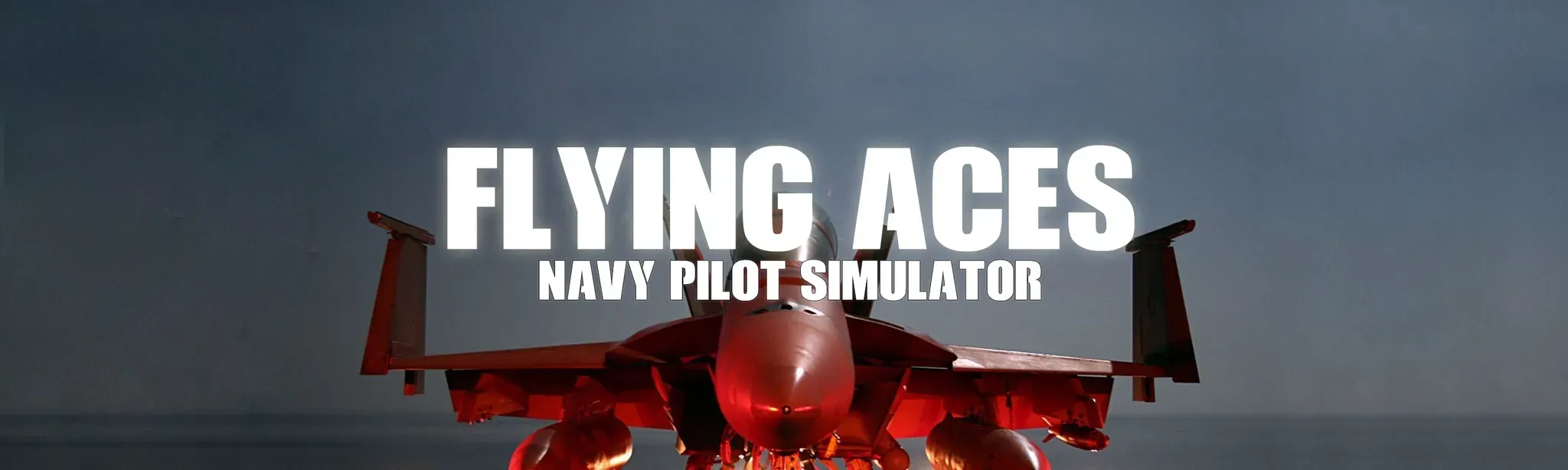 Flying Aces - Navy Pilot Simulator