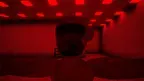 Stupid Chimps screenshot 3
