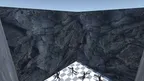 Monkey Tagging screenshot 4