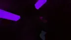 Mad Monkes Classic screenshot 2