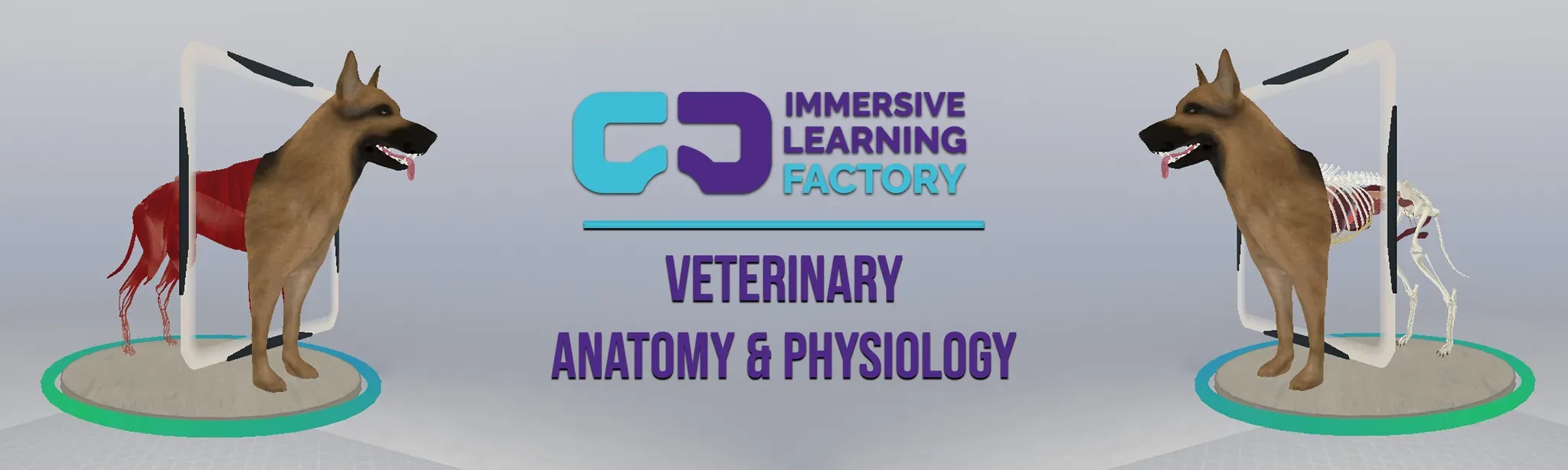 Veterinary Anatomy and Physiology