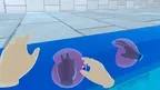 Safety Education : familiar With Water screenshot 3
