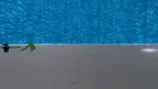 Poppy Company screenshot 2