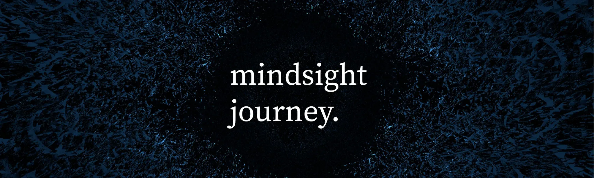 Mindsight Journey