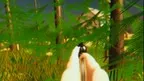 Smokin' Spades screenshot 1
