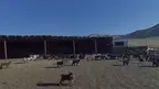 Mongolian Culture World Expo screenshot 0